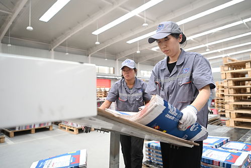 河北元氏 以科技創新為引擎，新材料技術研發驅動產業轉型升級