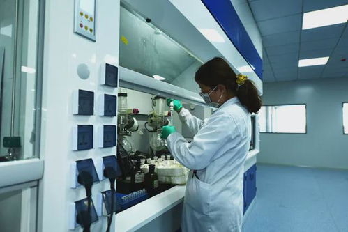 科技創新引領，為石島高質量發展強基賦能 聚焦集成電路芯片設計及服務